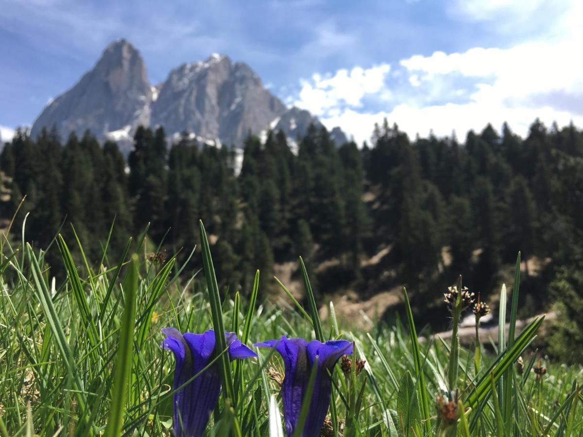 Апартаменты Agriturism Gscnara Сан-Мартино-ин-Бадия Экстерьер фото